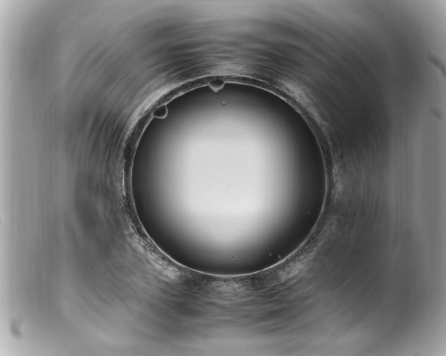 X0000100220931200805301344
