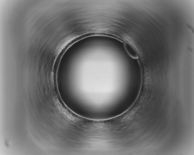 X0000100220932200805301344