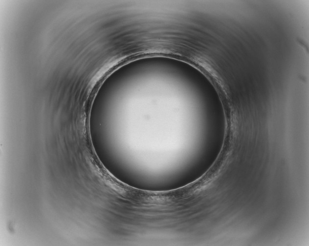 X0000100220933200805301344