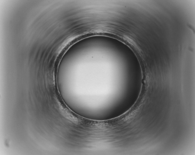 X0000100220934200805301344