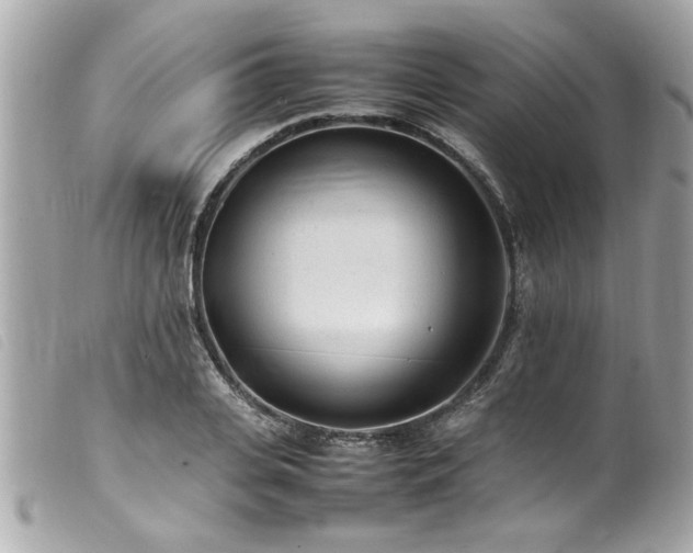 X0000100220935200805301344