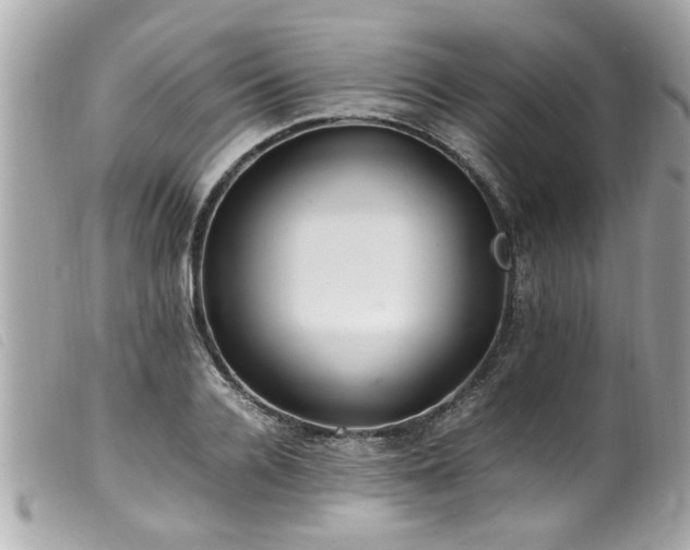 X0000100220936200805301344