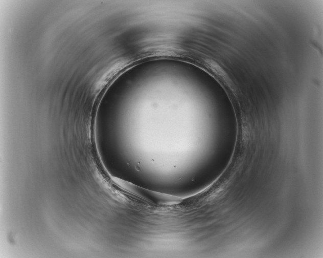 X0000100220938200805301344