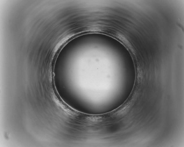 X0000100220939200805301344