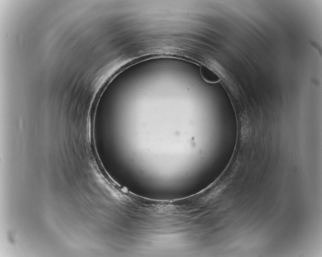X0000100220940200805301344
