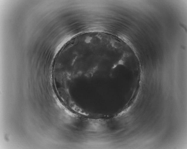 X0000100220941200805301344