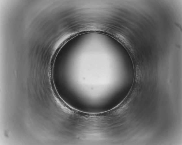 X0000100220942200805301344