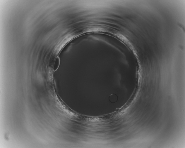 X0000100220945200805301344