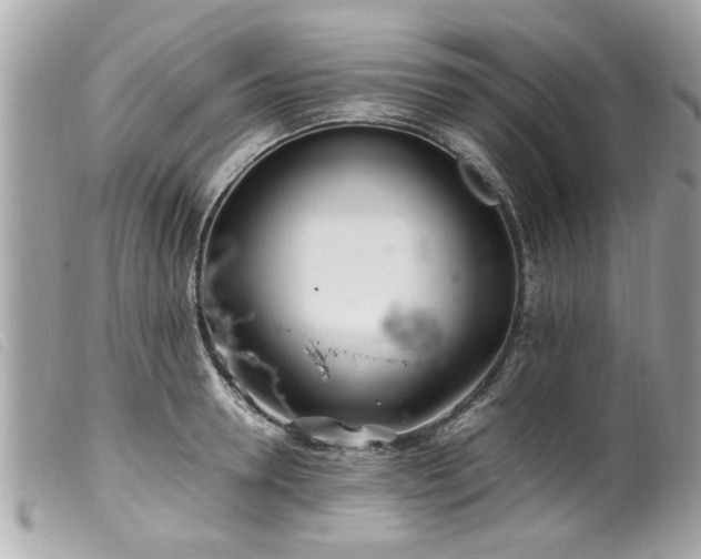 X0000100220946200805301344