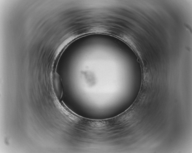 X0000100220947200805301344