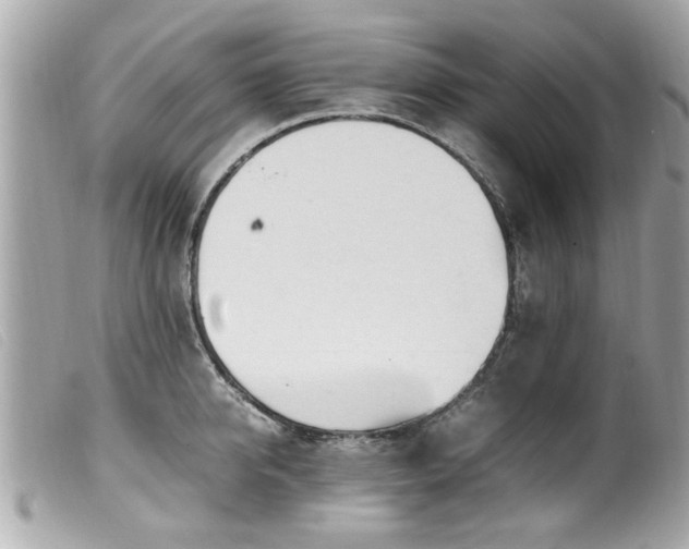 X0000100220950200805301344