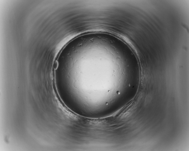 X0000100220951200805301344
