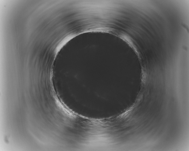 X0000100220952200805301344
