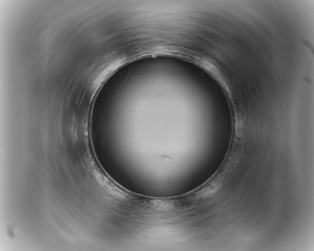 X0000100220954200805301344