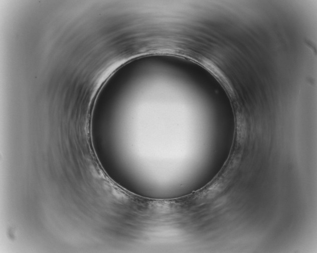 X0000100220956200805301344