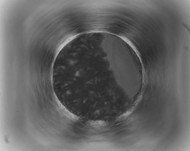 X0000100220957200805301344