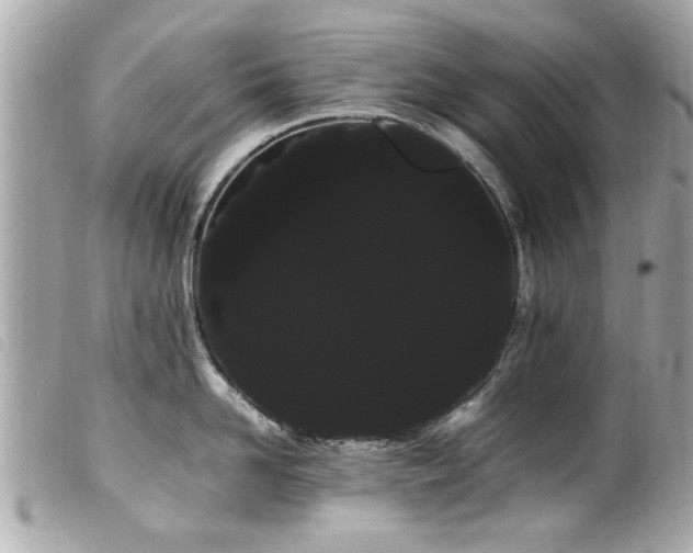 X0000100220958200805301344