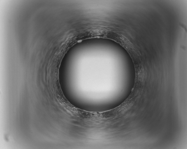 X0000100220961200805301343