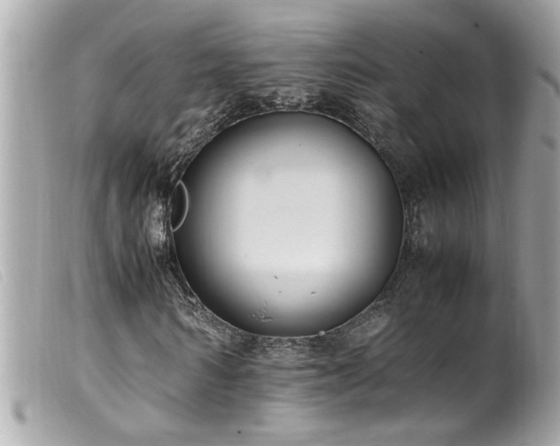 X0000100220962200805301343