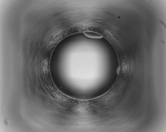 X0000100220964200805301343