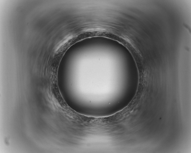 X0000100220967200805301343
