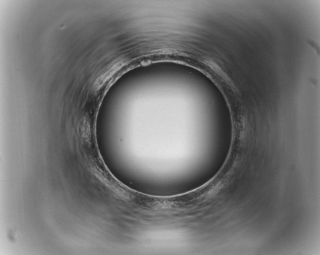 X0000100220969200805301343
