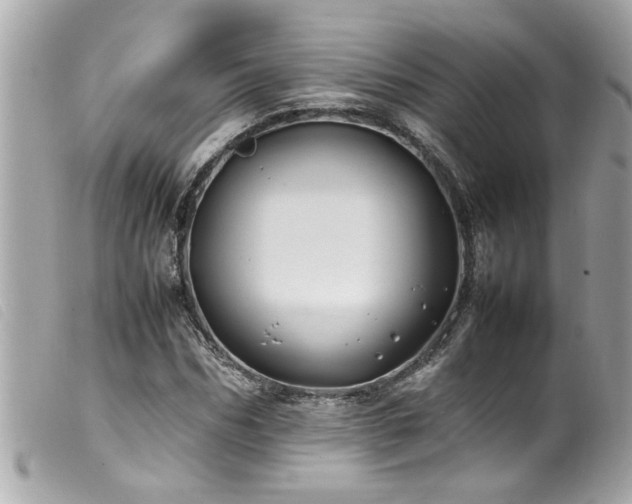 X0000100220970200805301343