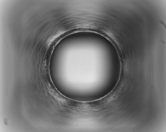 X0000100220971200805301343