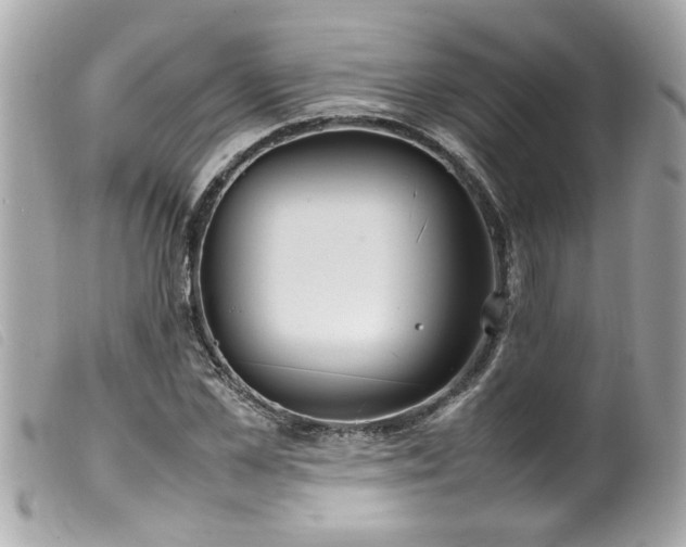 X0000100220973200805301343