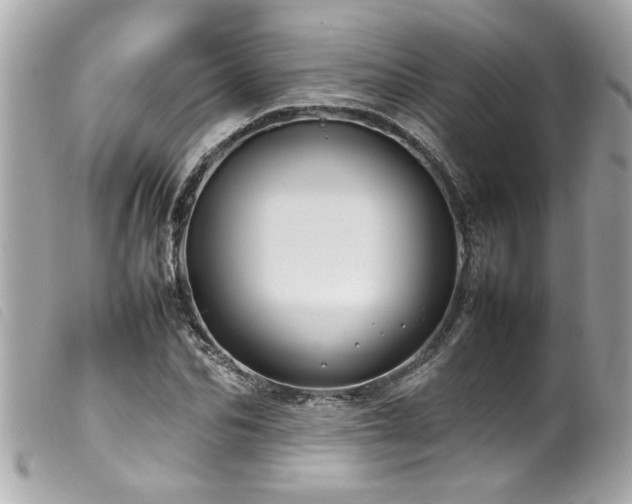 X0000100220974200805301343