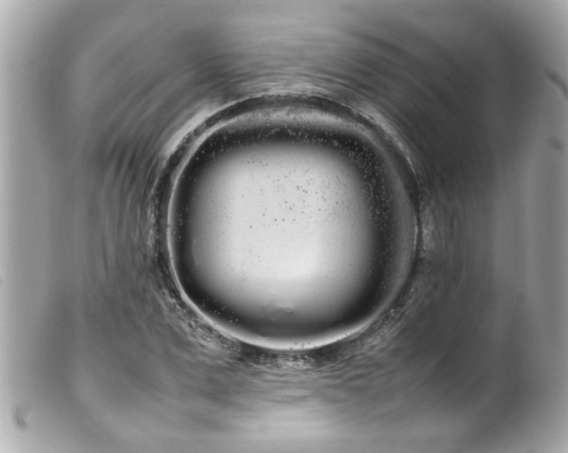 X0000100220975200805301343