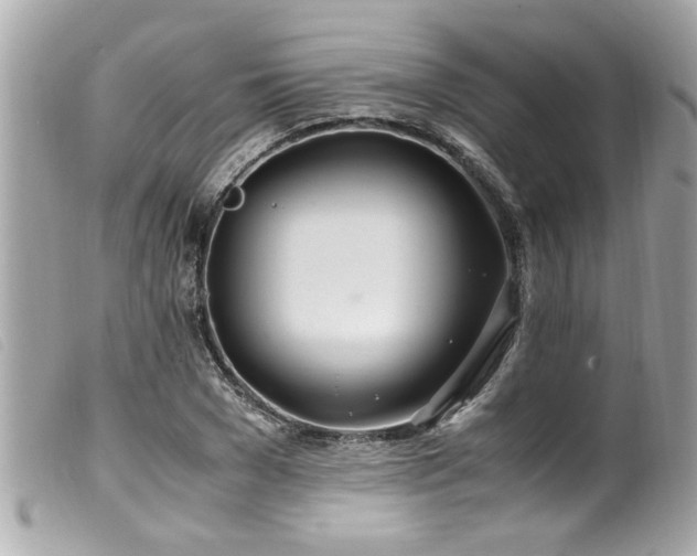 X0000100220977200805301343