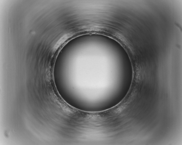 X0000100220978200805301343