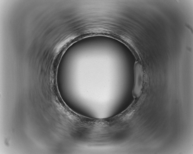 X0000100220979200805301343