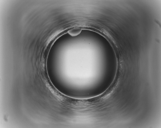 X0000100220981200805301343