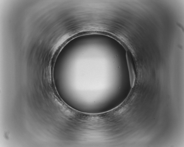 X0000100220982200805301343