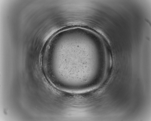 X0000100220983200805301343