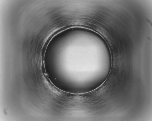 X0000100220984200805301343