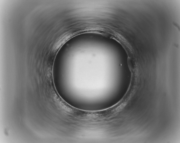 X0000100220985200805301343