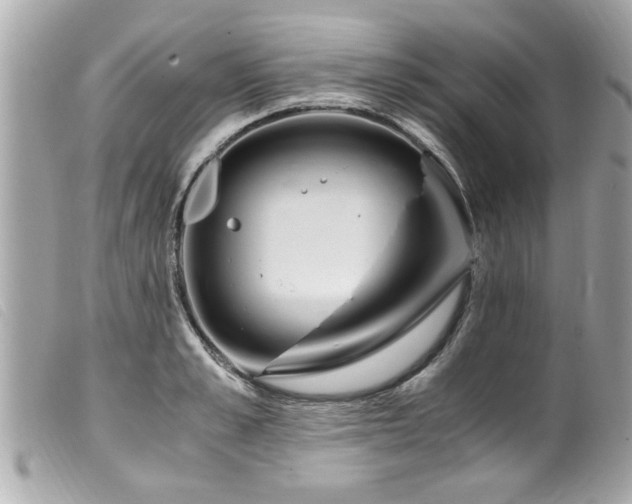 X0000100220989200805301343