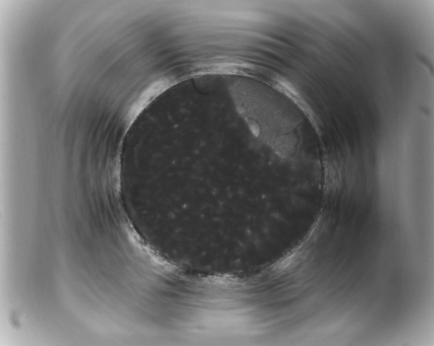 X0000100220994200805301343