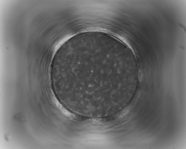 X0000100220995200805301343