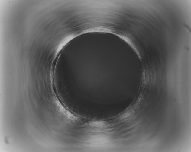 X0000100220998200805301343