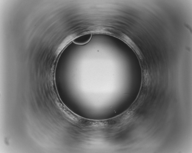 X0000100221002200805301343