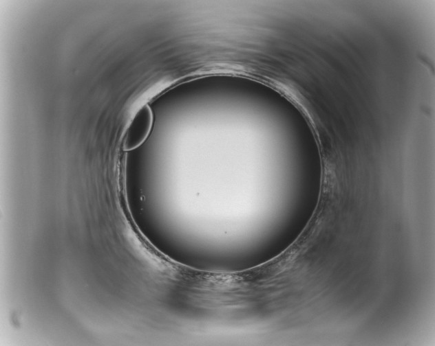 X0000100221003200805301343