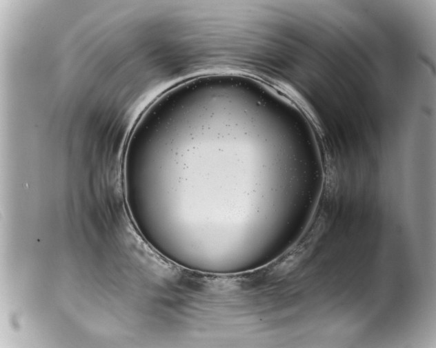 X0000100221004200805301343