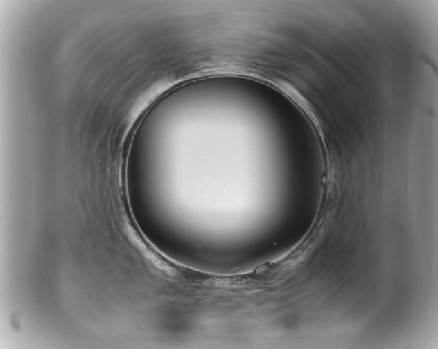 X0000100221005200805301343