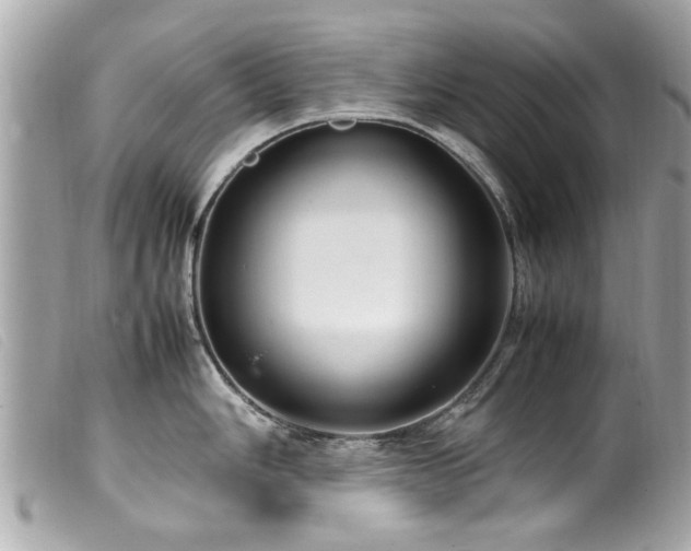 X0000100221006200805301343