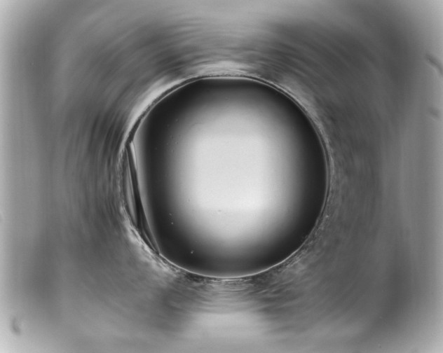 X0000100221008200805301343