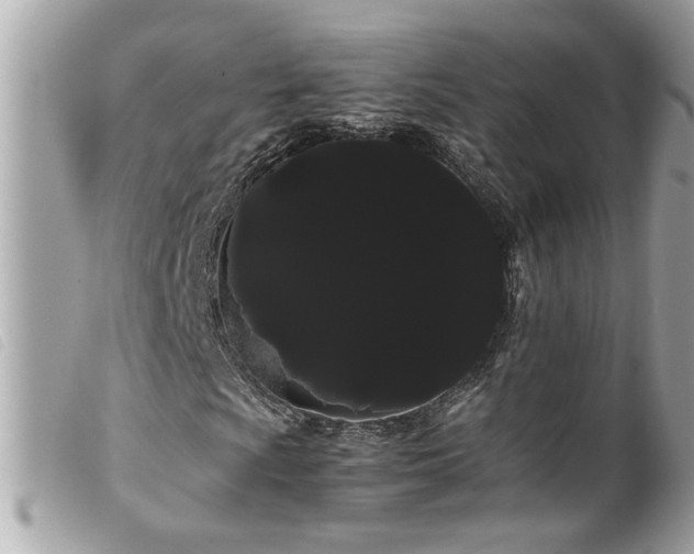 X0000100221009200805301342